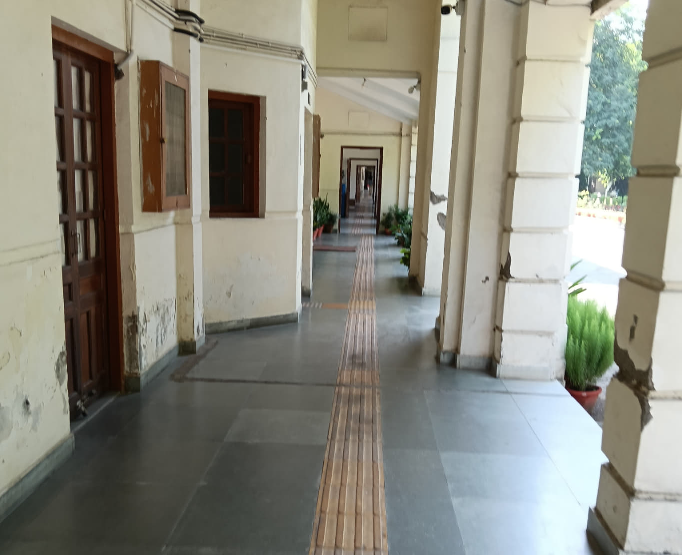 IP College for Women Campus photo 10